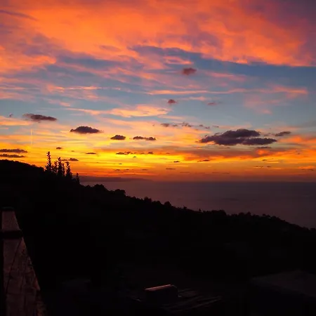 Maddiola * サン・セバスティアン