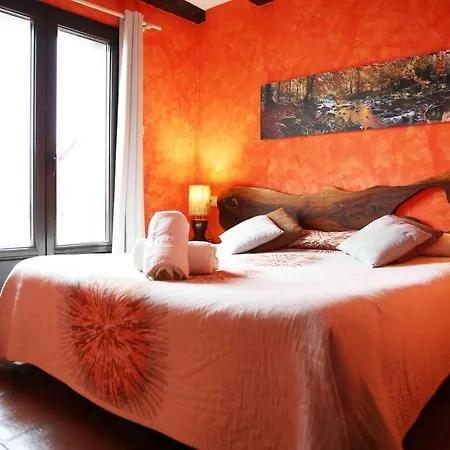 Maddiola سان سيباستيان