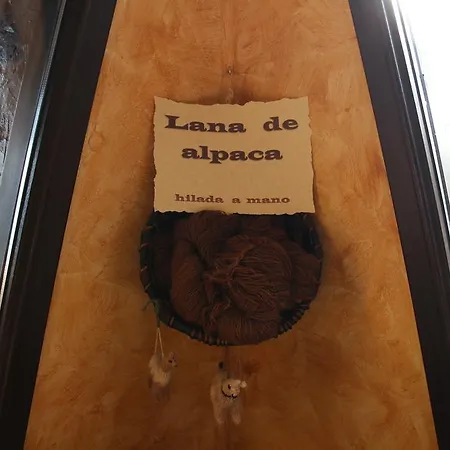 Maddiola * سان سيباستيان